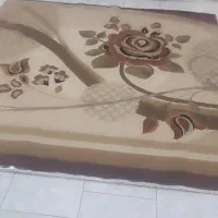 فرش|فرش|فردیس, فردیس|دیوار