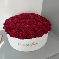 گل رز باکس ربانی