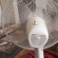 پنکه و سبزی خورد کن