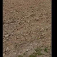 زمین در صومعه