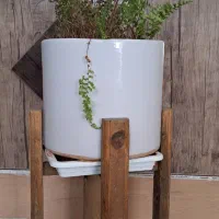 گلدان گل طبیعی با استند وباکس گل طبیعی