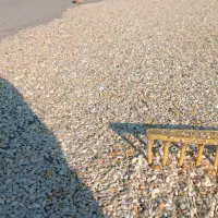 محصول امسال تو پر قیمت مقطوع 340|عمده‌فروشی|سیلوانه, |دیوار