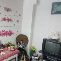 تلویزیون ومیزش