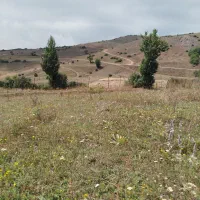 فروش زمین درروستای گرزنچاک مجاورداماش|فروش زمین و ملک کلنگی|جیرنده, |دیوار