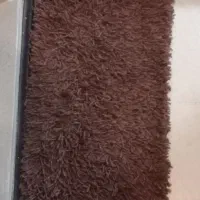 پادری|پادری|تهران, پاسداران|دیوار