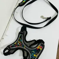 قلاده کمری سگ