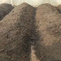 کود ورمی کمپوست زمرد|خدمات باغبانی و درختکاری|ورامین, خورین|دیوار