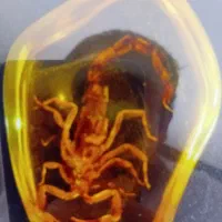 رزین اصلی|بدلیجات|کرمانشاه, |دیوار