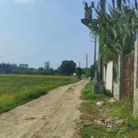 زمین کشاورزی|فروش زمین و ملک کلنگی|امیرکلا, |دیوار