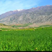 فروش زمین مسکونی