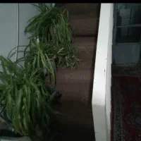 خانه ویلایی دو طبقه ۷۰ متری