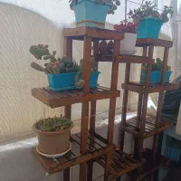 استند گل