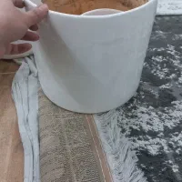 گلدان سرامیکی بزرگ|گل و گیاه طبیعی|تهران, مشیریه|دیوار