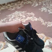 کتونی Zx ساموا رنگ مادر سفارش ویتنام|کیف، کفش، کمربند|تهران, وصفنارد|دیوار