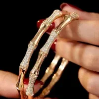 بدلیجات مجلسی
