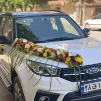 دسته گل عروس و ماشین عروس قیمت مناسب باکس و جام گل|گل و گیاه طبیعی|شیراز, سایت اداری|دیوار