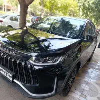 تیگارد نیسان مدل 405 مشکی خشک