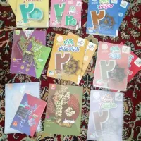 ماجرای بیست و فرمول بیست یازدهم