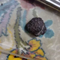 شهاب سنگ|کلکسیون و سرگرمی|اسفراین, |دیوار