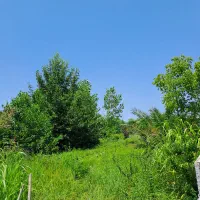 فروش زمین ۳۳۳متری در گیلان