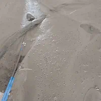 اجرای فوم بتن گلی پور