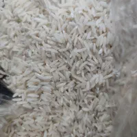 برنج طارم هاشمی