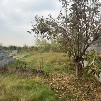 شمال سیمرغ کیاکلا|فروش زمین و ملک کلنگی|قائمشهر, |دیوار