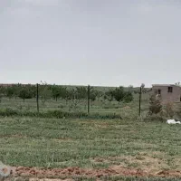 زمین