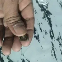 سنگ اوپال آتشی|جواهرات|خاش, |دیوار