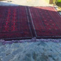 فرش  بلوچی|فرش|سبزوار, باهنر|دیوار