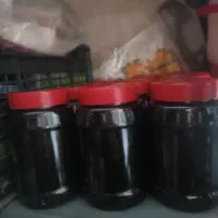 رب انار