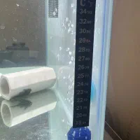 اکواریوم شیشه خم با پوستر و نوارطلایی|ماهی|تهران, تهران‌نو|دیوار