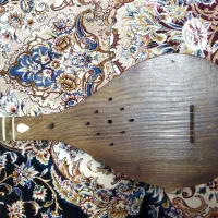 سه تار منسوب به عشقی|سازهای سنتی|همدان, |دیوار