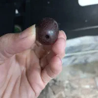مهره چوبی قدیمی وسینی ظرف برنجی