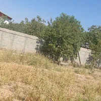 ۱۰۰۶ متر ویلایی سوله با سند تک برگی سه راه طالقان|فروش خانه و ویلا|کرج, گلشهر|دیوار