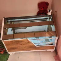 خانه پت|لوازم جانبی حیوانات|گرمدره, |دیوار