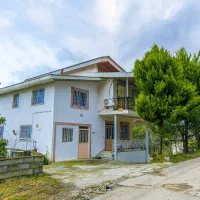 سوئیت-دوخوابه-جنگلی-سورخا-رزرو-قسطی-در-جاباما