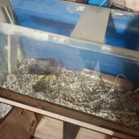 آکواریوم کمد دار