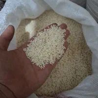 برنج دم سیاه درجه یک اصل کلات نادری|خوردنی و آشامیدنی|کلات (خراسان), |دیوار