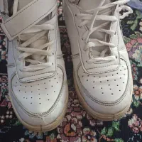 کتاب کنکوری|قوری، کتری، قهوه‌ساز دستی|گنبد کاووس, |دیوار