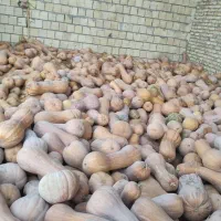 کدو حلوایی روستای بیار|خوردنی و آشامیدنی|آشخانه, |دیوار