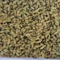 کشمش سبز|خوردنی و آشامیدنی|تهران, هرندی|دیوار