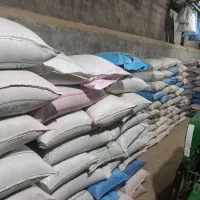 گندم و جو بذری|خدمات باغبانی و درختکاری|گمیشان, |دیوار