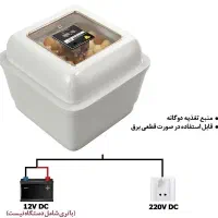 دستگاه جوجه کشی ۸۴ تایی اتومات
