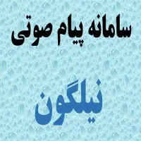 سامانه پیام صوتی نیلگون|خدمات رایانه‌ای و موبایل|رشت, چله خانه|دیوار