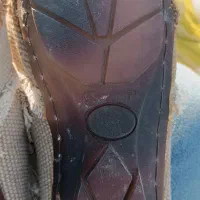 یک عدد دمپای میوه فروشی|کیف، کفش، کمربند|قم, نیروگاه|دیوار