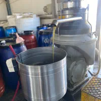 پخش کلی زیتون و روغن زیتون در رشت و شهر های اطراف