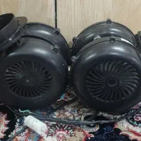 فن.. حلزونی