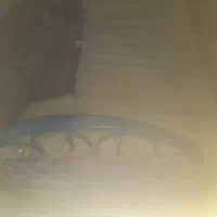تخت فلزی یک نفره به همراه دوتا تشک کارکرده