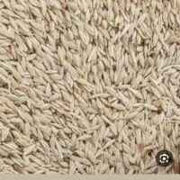 جو آبی رقم بهمن‌ بذری